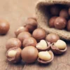 Mắc Ca Nứt Vỏ