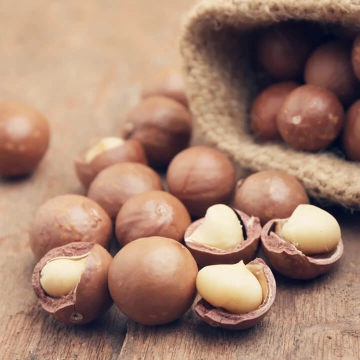 Mắc Ca Nứt Vỏ